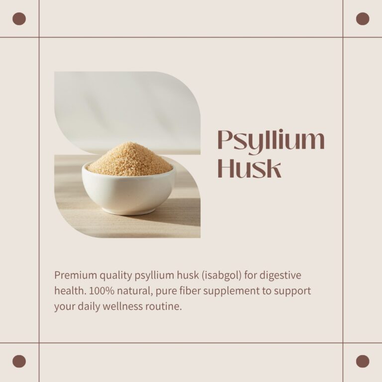 whatsapp image 2026 04 10 at 10.49.18 pm